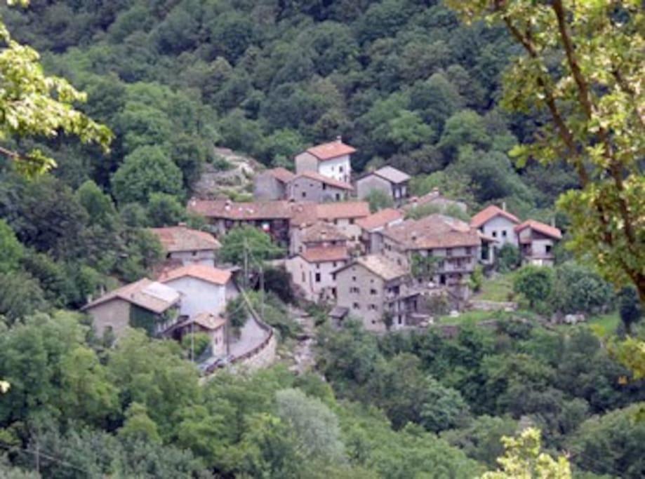 파에디스 Torre Del Grifone Nel Medioevo Di Cividale Del Friuli 빌라 외부 사진