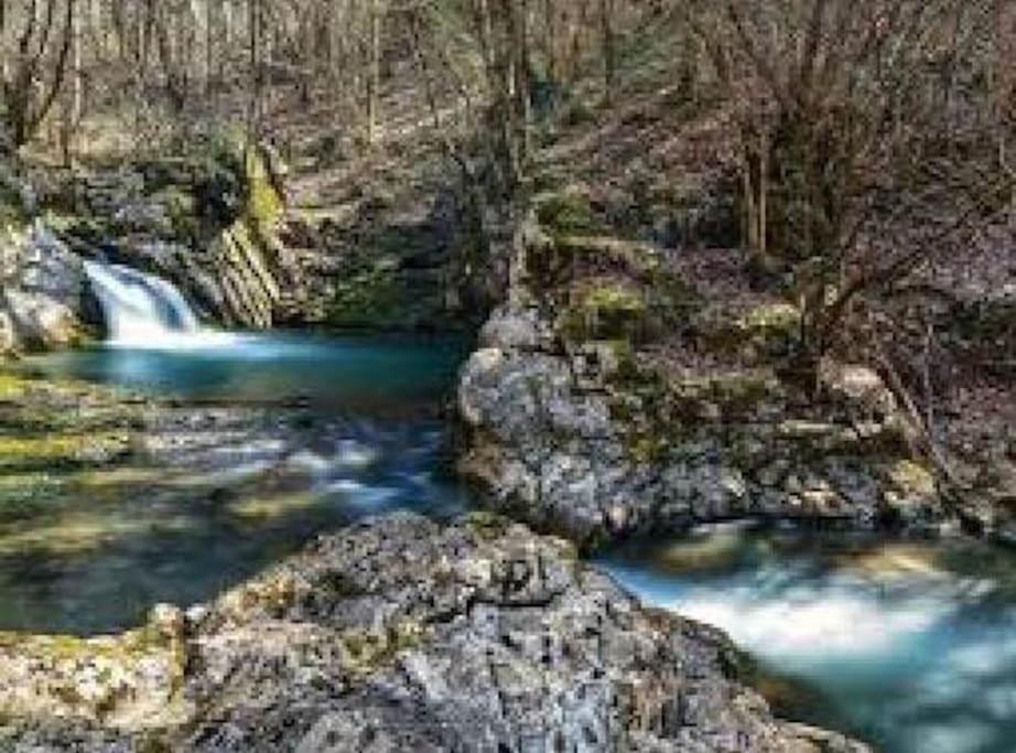 파에디스 Torre Del Grifone Nel Medioevo Di Cividale Del Friuli 빌라 외부 사진