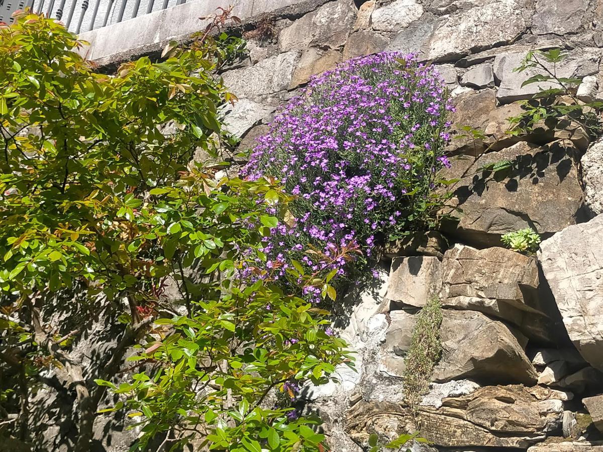 파에디스 Torre Del Grifone Nel Medioevo Di Cividale Del Friuli 빌라 외부 사진