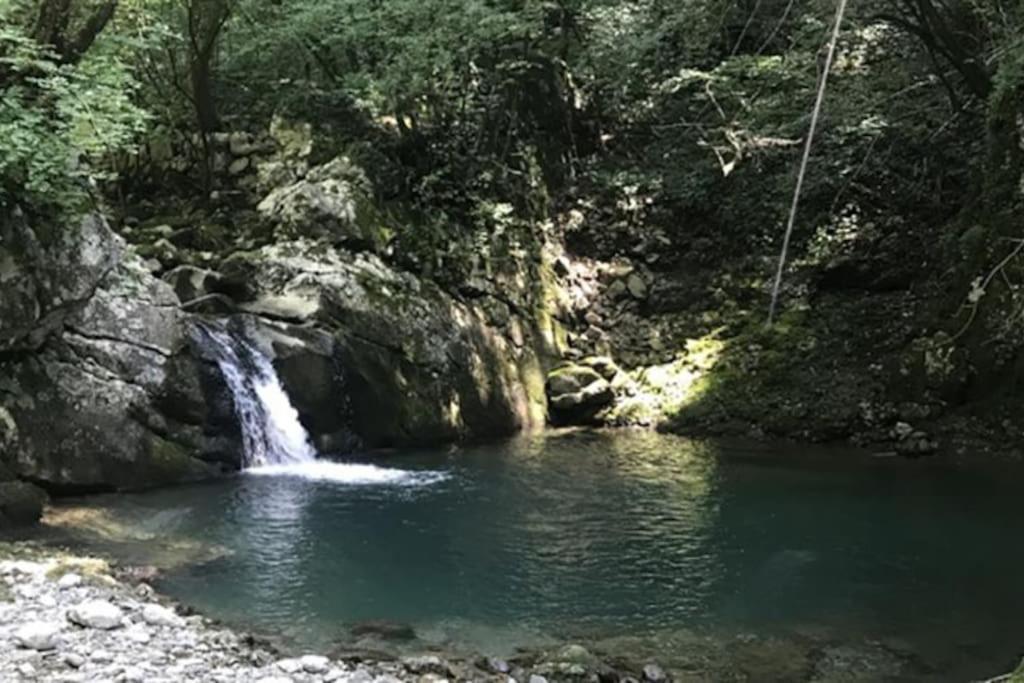 파에디스 Torre Del Grifone Nel Medioevo Di Cividale Del Friuli 빌라 외부 사진