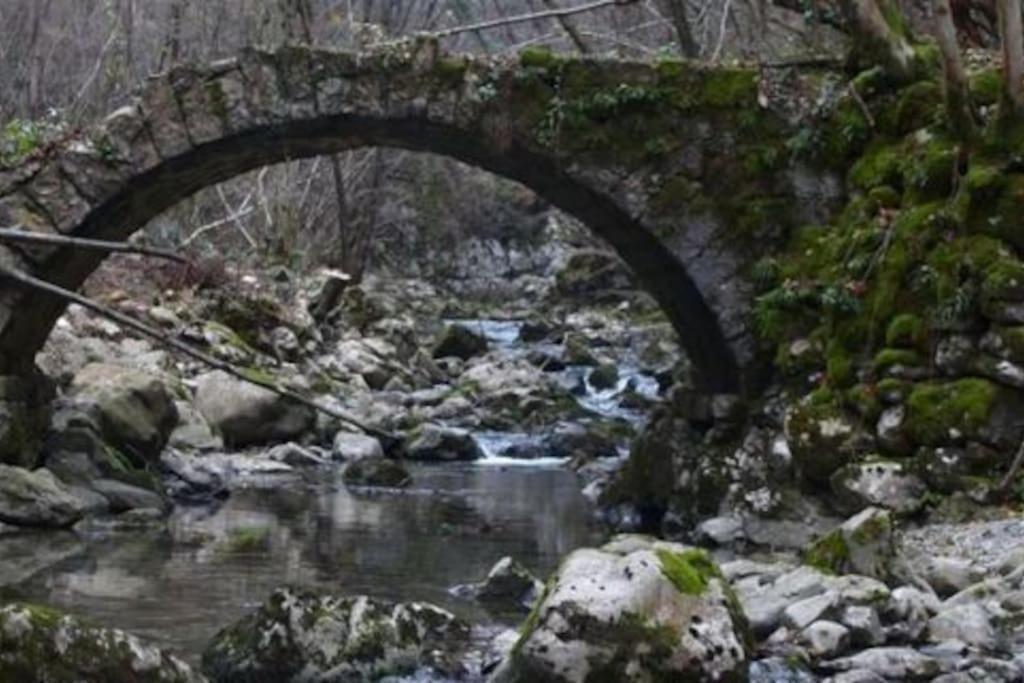 파에디스 Torre Del Grifone Nel Medioevo Di Cividale Del Friuli 빌라 외부 사진