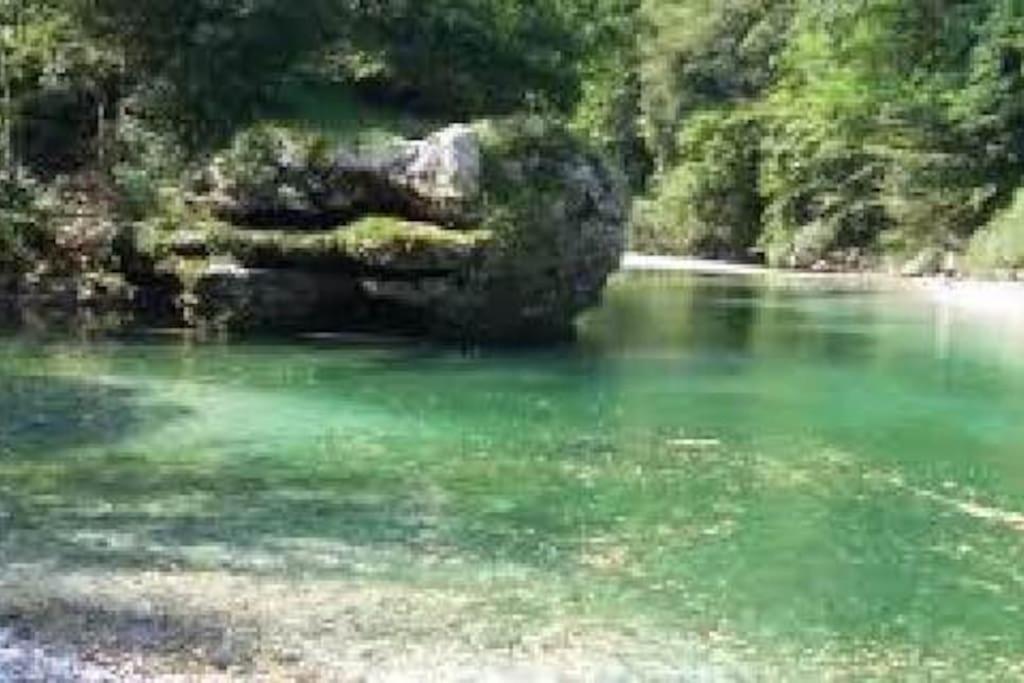 파에디스 Torre Del Grifone Nel Medioevo Di Cividale Del Friuli 빌라 외부 사진
